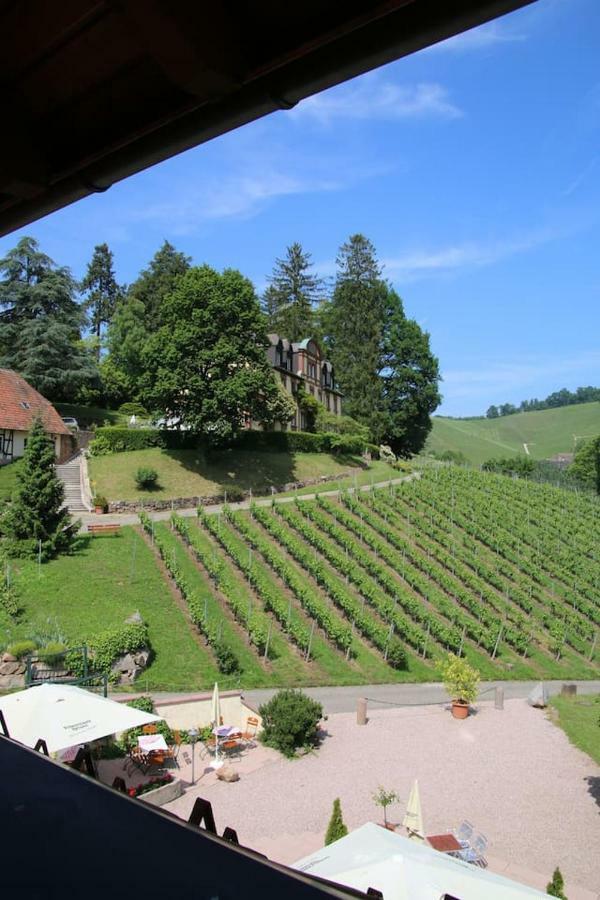 Wein Lodge Durbach - Schlossblick Exterior foto