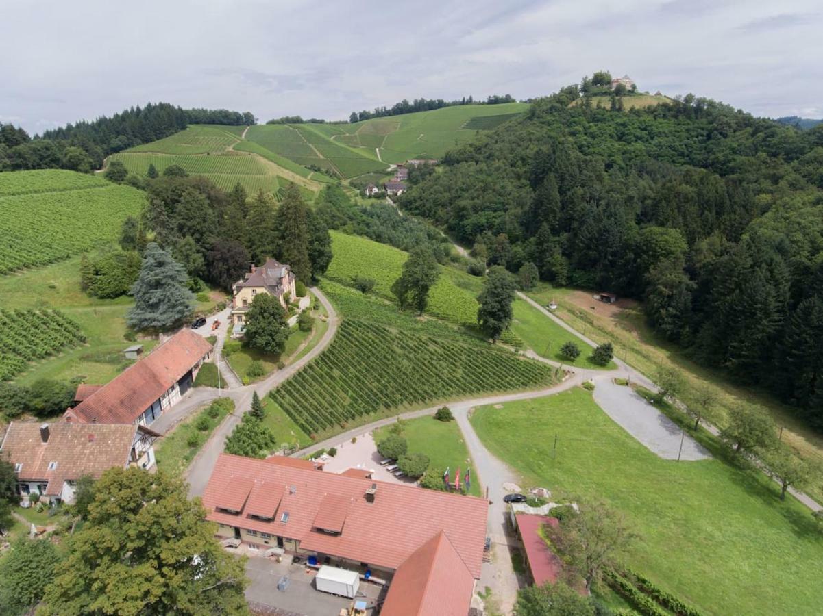 Wein Lodge Durbach - Schlossblick Exterior foto